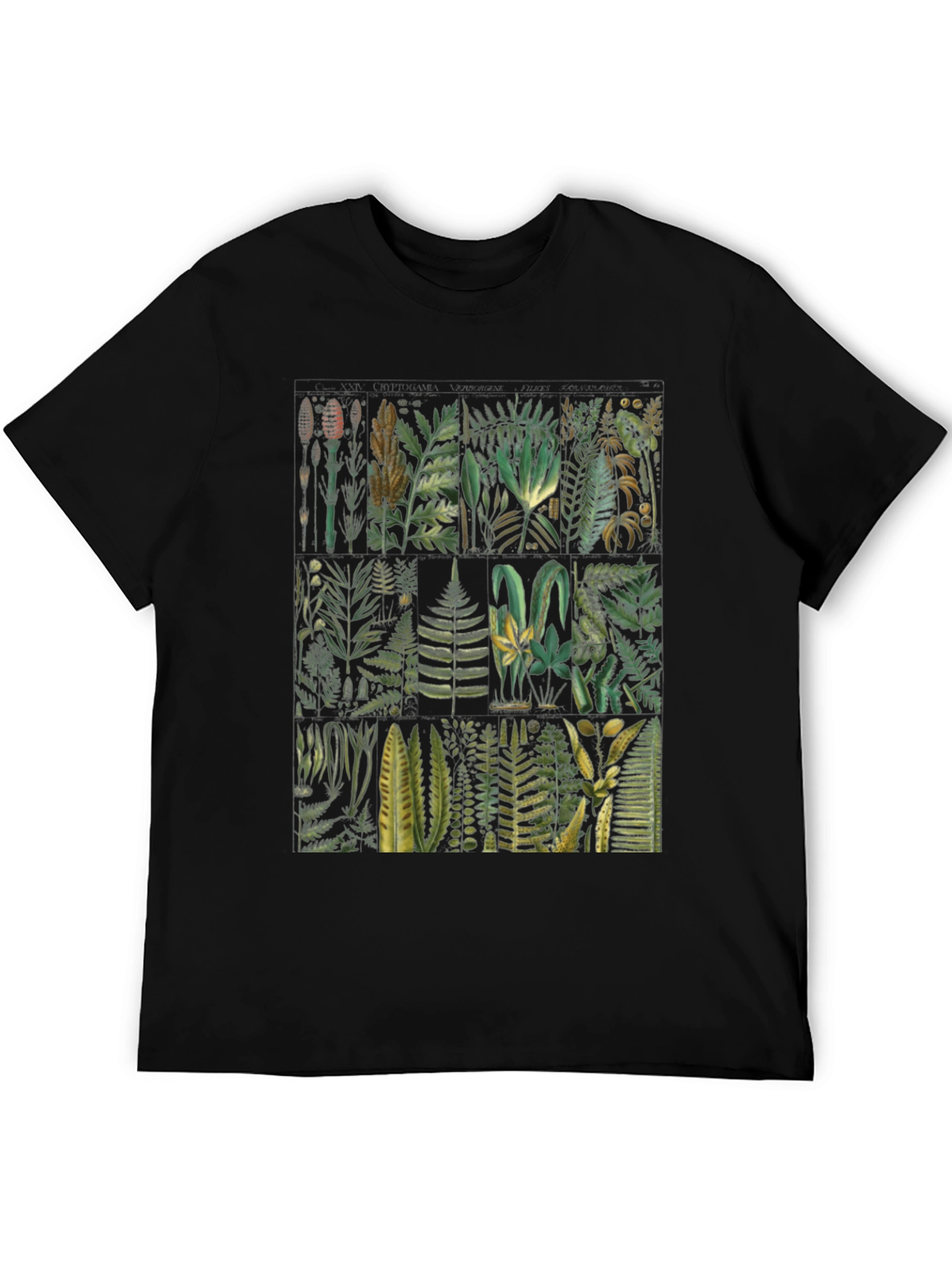 Botanical Fern Print Black T-Shirt