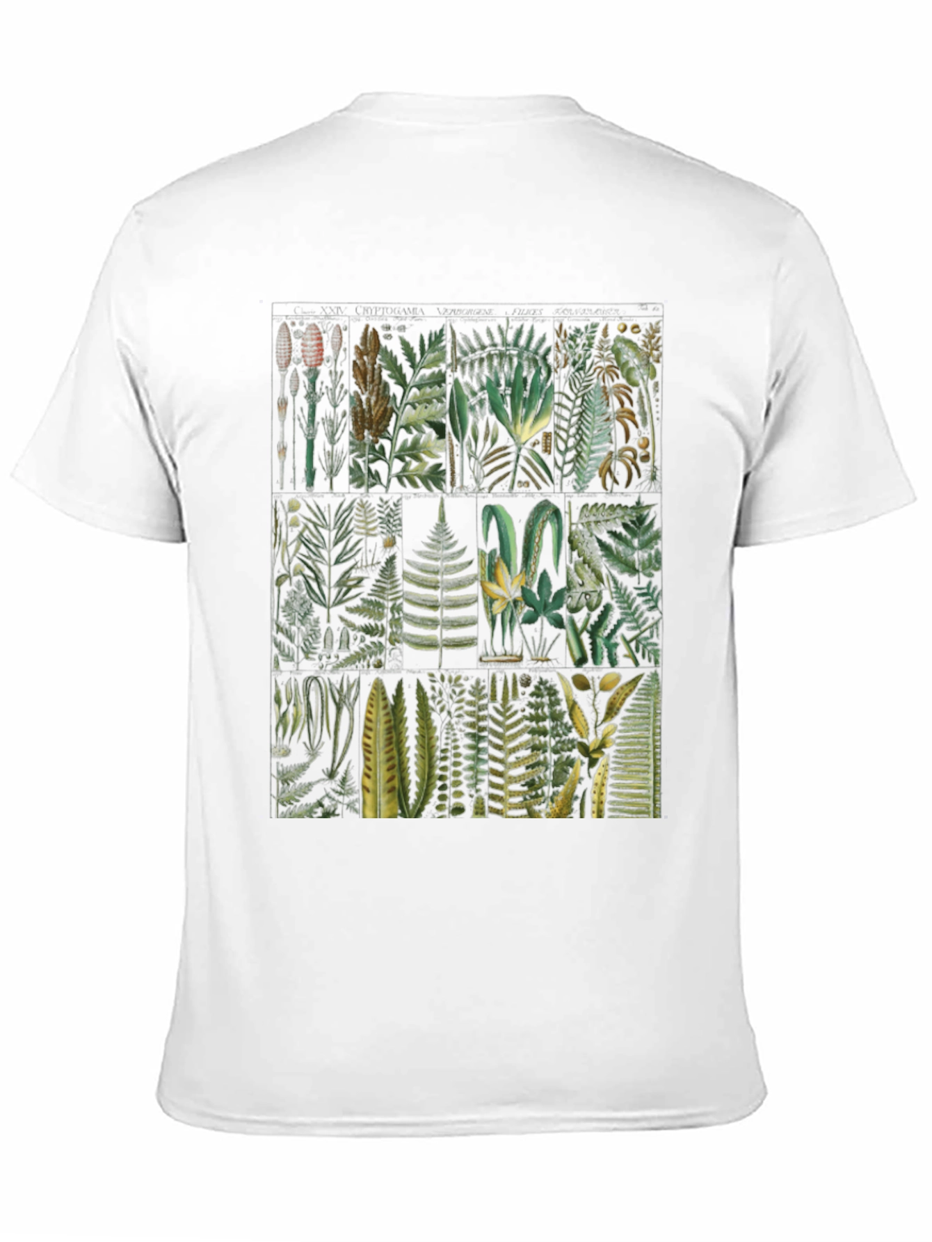 Botanical Fern Print Black T-Shirt