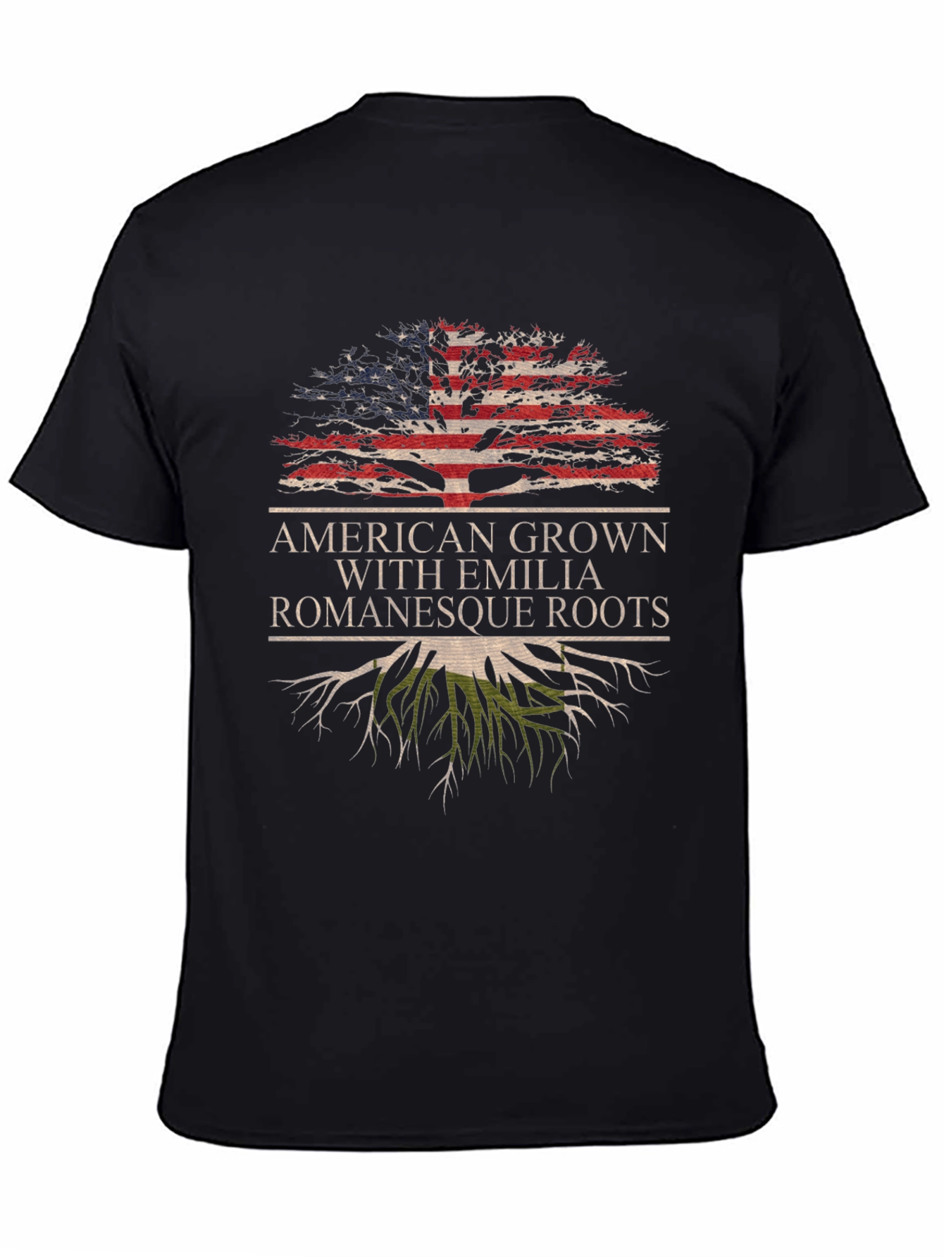 Emilia Romagna Roots USA Pride T-Shirt