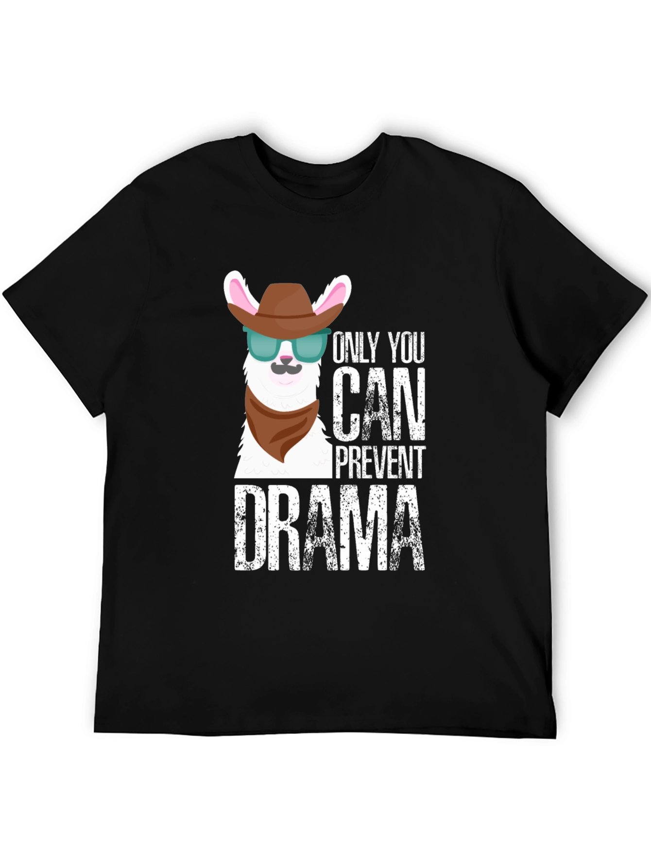Only You Can Prevent Drama Llama Graphic Tee