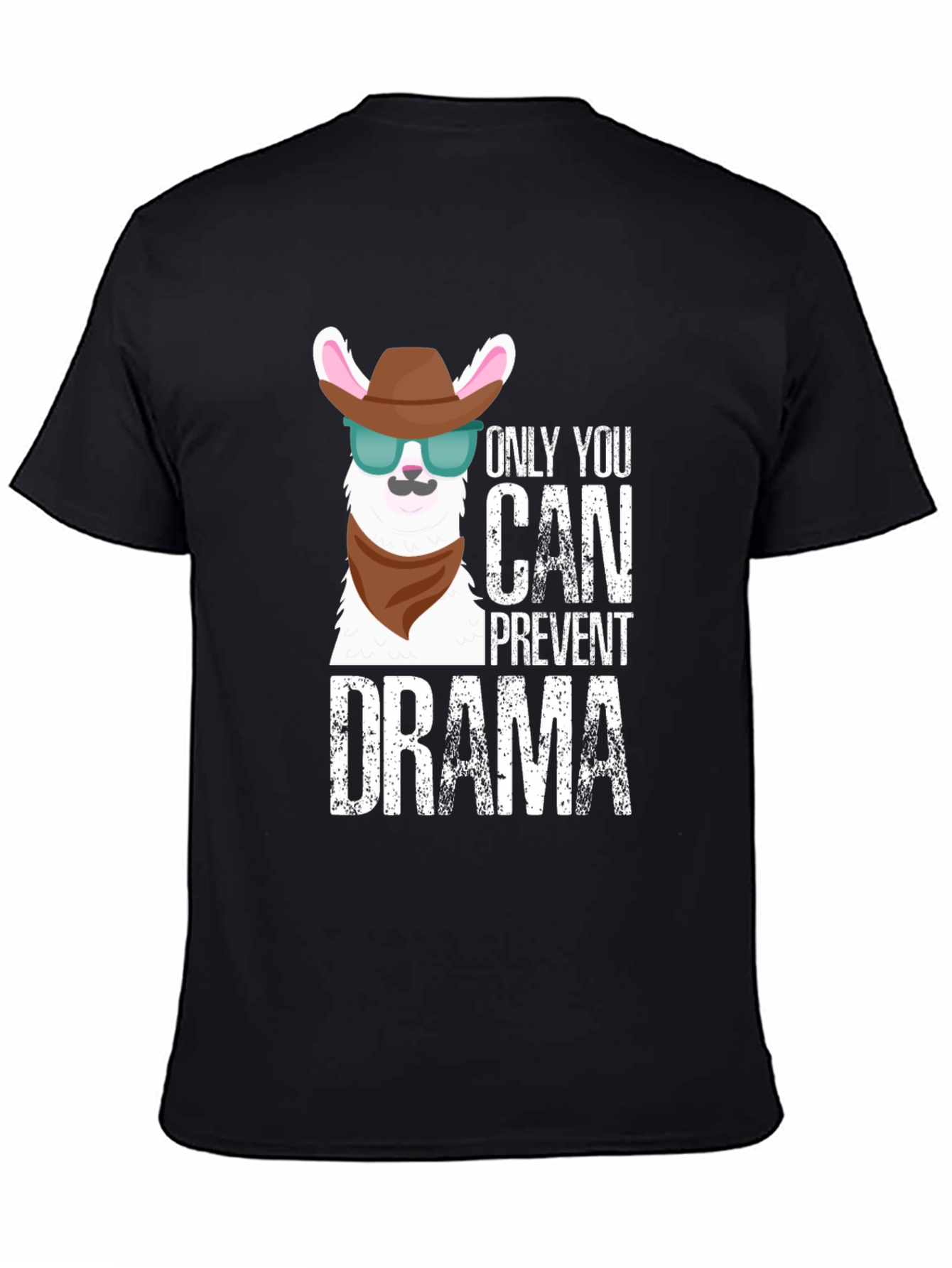 Only You Can Prevent Drama Llama Graphic Tee
