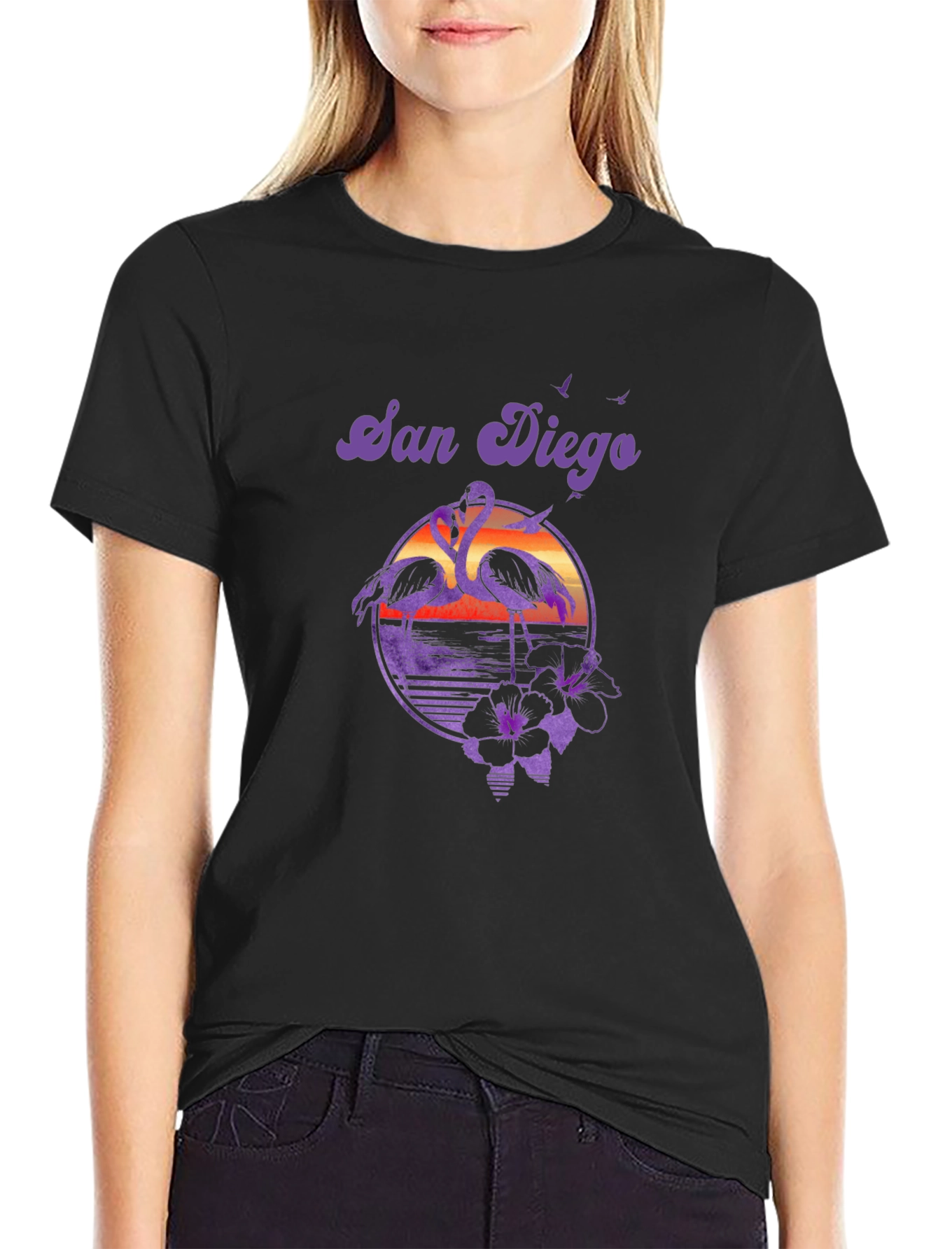 San Diego Flamingo T-Shirt Retro Sunset Beach Tee