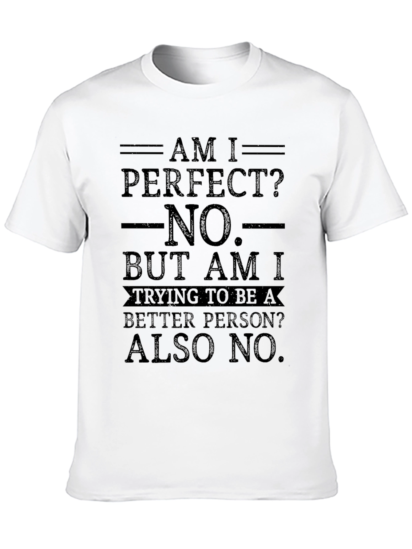 Am I Perfect? Funny Graphic Novelty T-Shirt