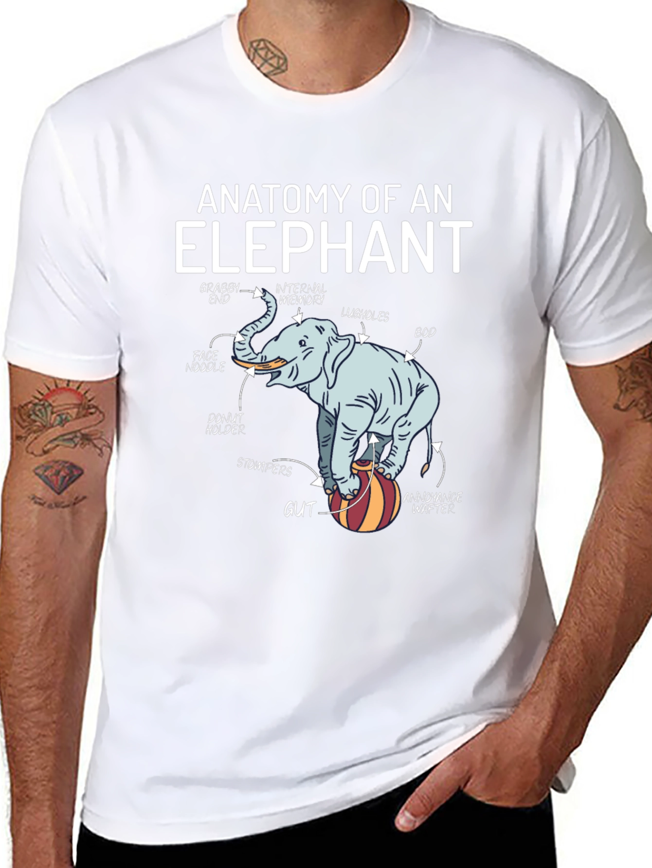 Anatomy of an Elephant Graphic T-Shirt